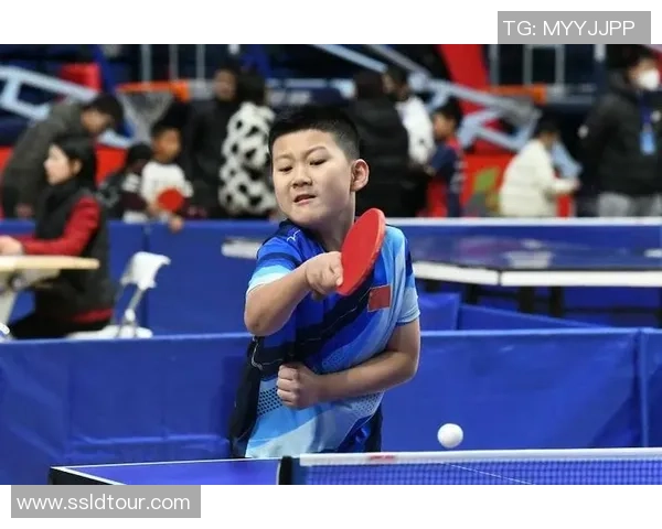 乒乓球的魅力与智慧揭秘西安乒乓球队的独特战术与训练理念