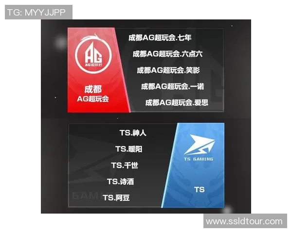 成都排球队与武汉排球队耐力对决赛后深度分析与复盘 成都排球队与武汉排球队耐力对决赛后深度分析与复盘