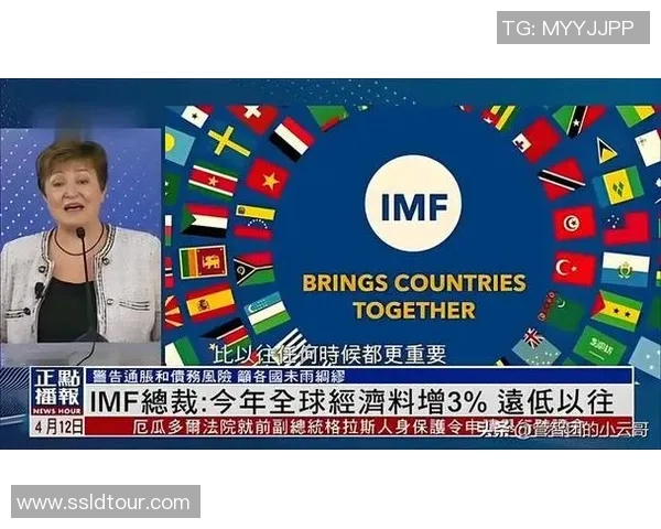 深度对话：探寻陈丽在CSGO世界中的成长与挑战之路