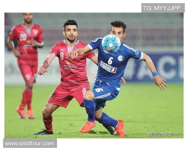 独家解析西安排球队团队协作的优势与不足对比分析 独家解析西安排球队团队协作的优势与不足对比分析