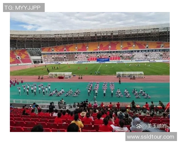 足球挺球的魅力与激情探讨如何提升球迷的观赛体验与参与感