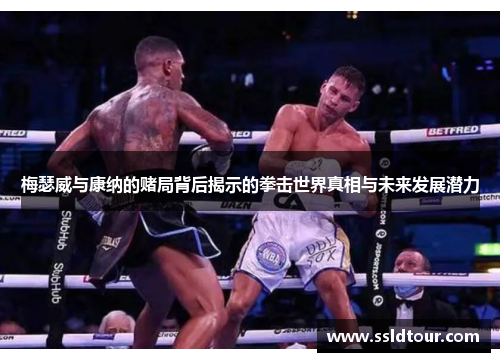 梅瑟威与康纳的赌局背后揭示的拳击世界真相与未来发展潜力